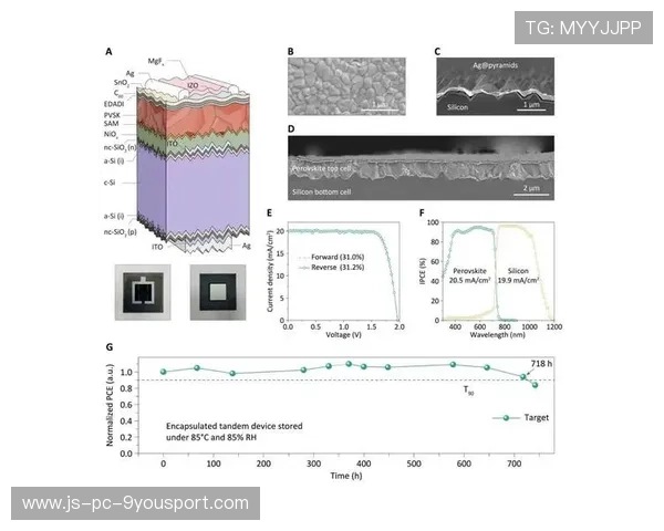 VALORANT队内沟通手势规范训练：打造高效团队的秘密武器