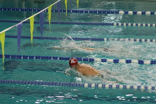 九游网页官网-韩国男队自由泳爆发力惊人，韩国200米自由泳